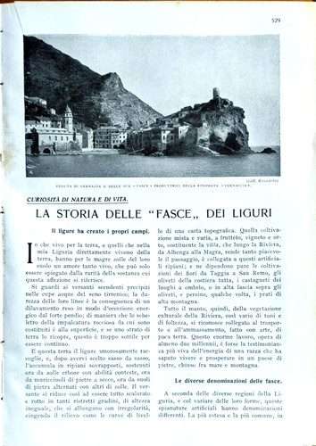 Storia delle fasce dei - storia,
