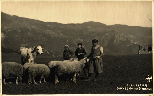 Garessio cuneo fotografica - cuneo,